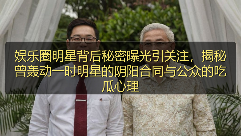娱乐圈明星背后秘密曝光引关注，揭秘曾轰动一时明星的阴阳合同与公众的吃瓜心理