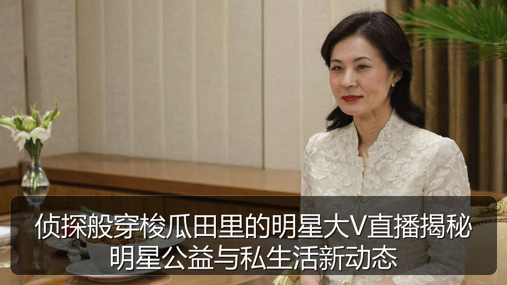 侦探般穿梭瓜田里的明星大V直播揭秘明星公益与私生活新动态