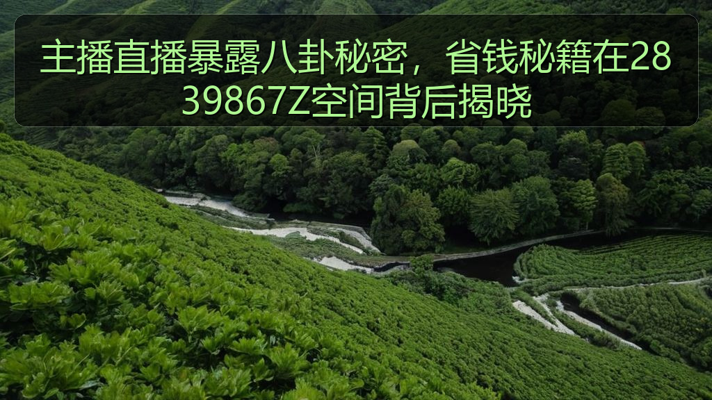 主播直播暴露八卦秘密，省钱秘籍在2839867Z空间背后揭晓